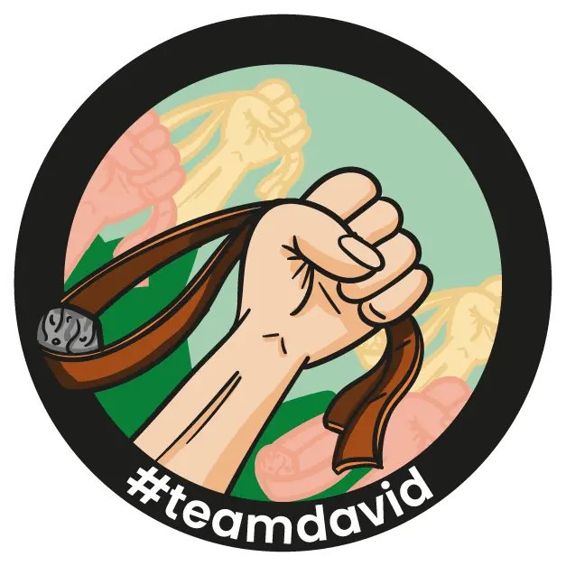 Team David logo
